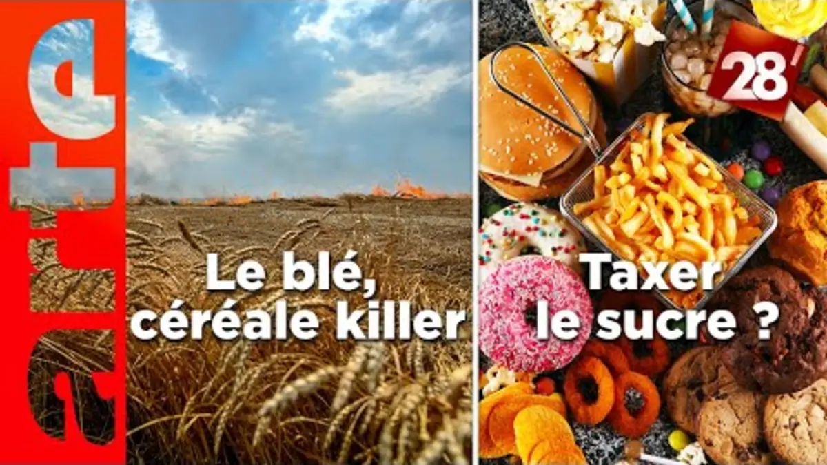 replay de Le blé, céréale killer / Faut-il taxer les produits trop sucrés ? | 28 minutes | ARTE