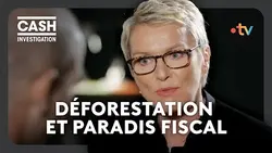 Le Brésil pays du soja, de la déforestation... et des paradis fiscaux - Cash investigation
