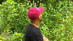 Le château de mes rêves : Émission 128