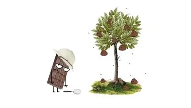 Le chocolat