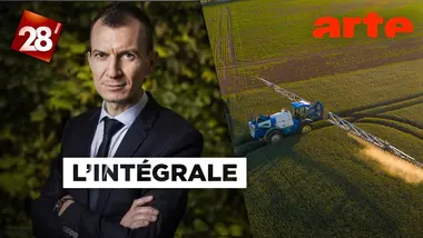 Le cochon, héros du XXIe siècle/Pesticides : le "recul gouvernemental de trop"? | 28 minutes | ARTE