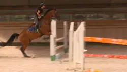 Au galop ! Le concours approche