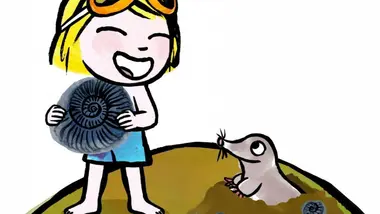 Le coquillage sur la montagne