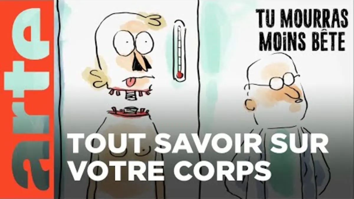 replay de Le corps humain (partie 1) | Compilation | Tu mourras moins bête | ARTE