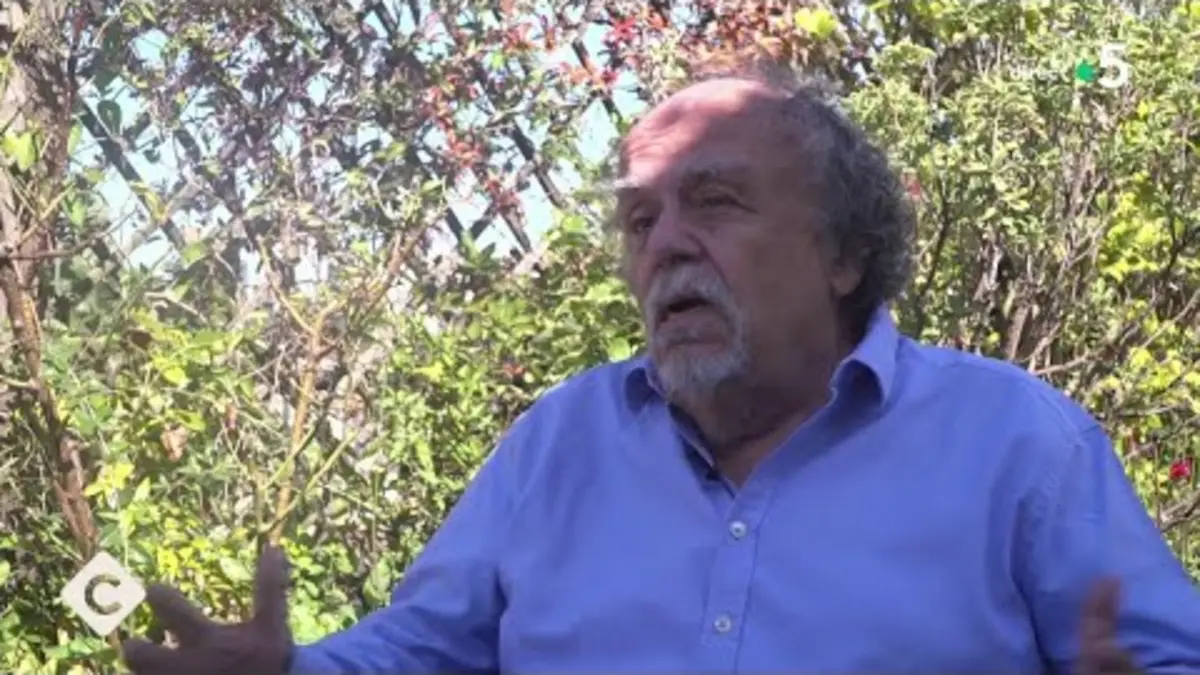 replay de Le dictionnaire des amis de Ribes - L’Oeil de Pierre - C à Vous - 05/09/2023