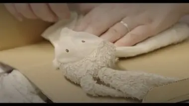 « Le doudou, le premier et plus fidèle ami »