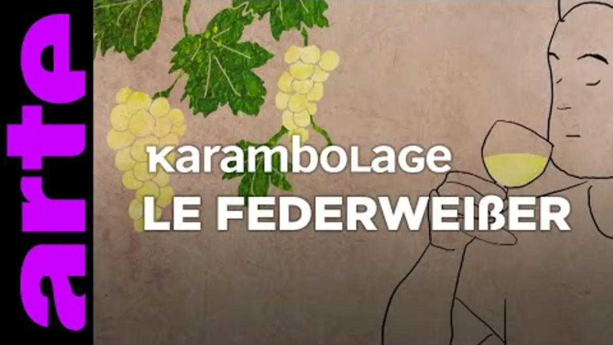 replay de Le Federweißer - Karambolage - ARTE