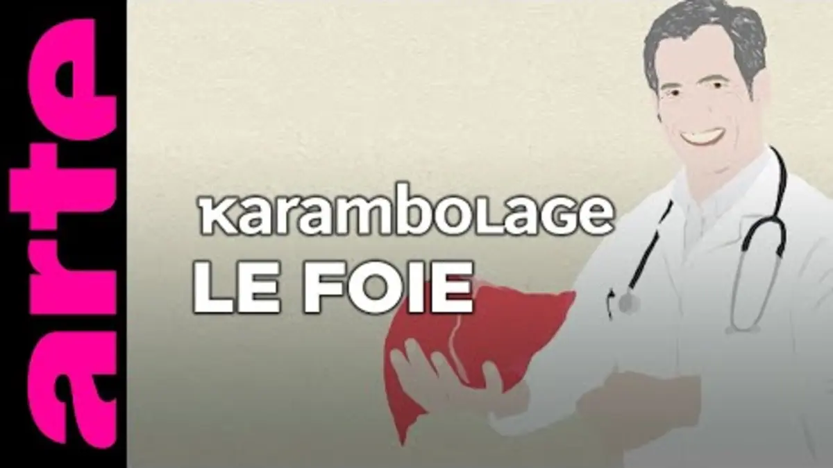 replay de Le foie - Karambolage - ARTE