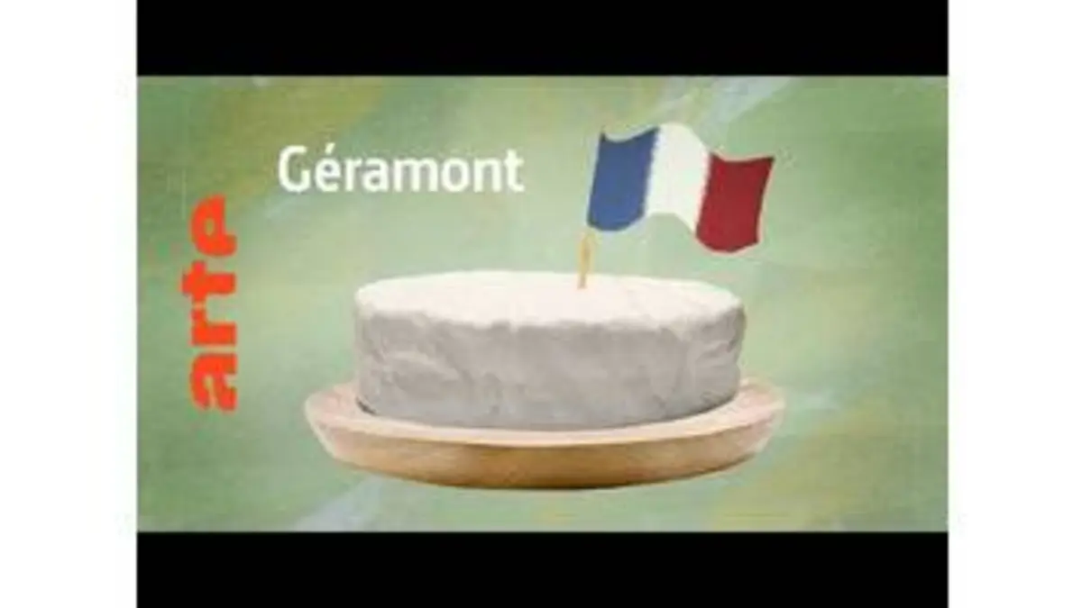 replay de le Géramont, un fromage français pour papilles allemandes - Karambolage - ARTE
