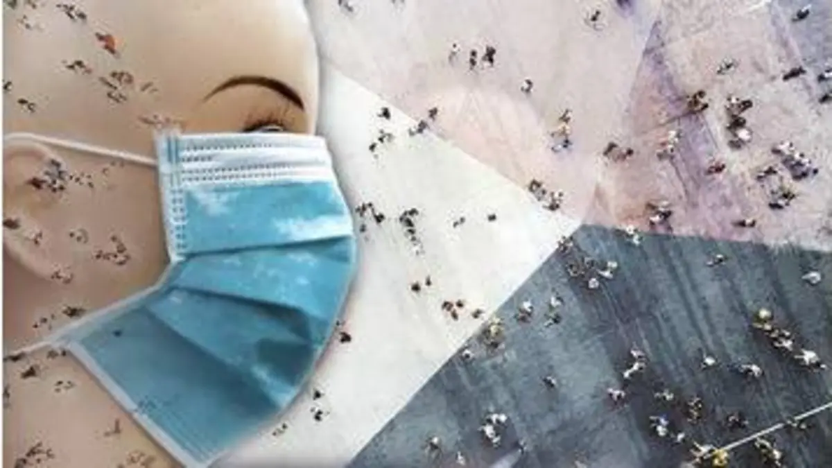 replay de Le grain de sable dans la machine