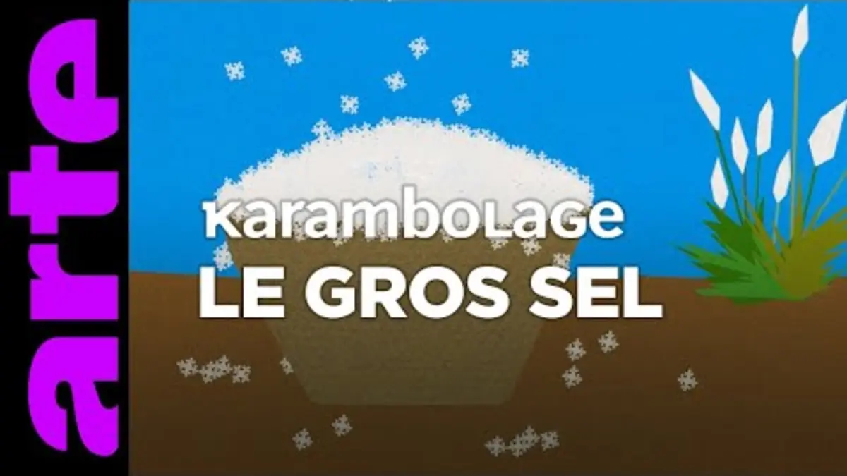 replay de Le gros sel - Karambolage - ARTE