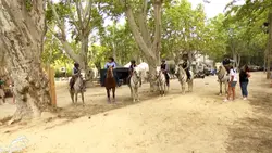 Le gymkhana dans tous ses états