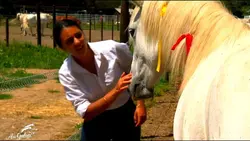 Au galop ! Le jeu du ruban