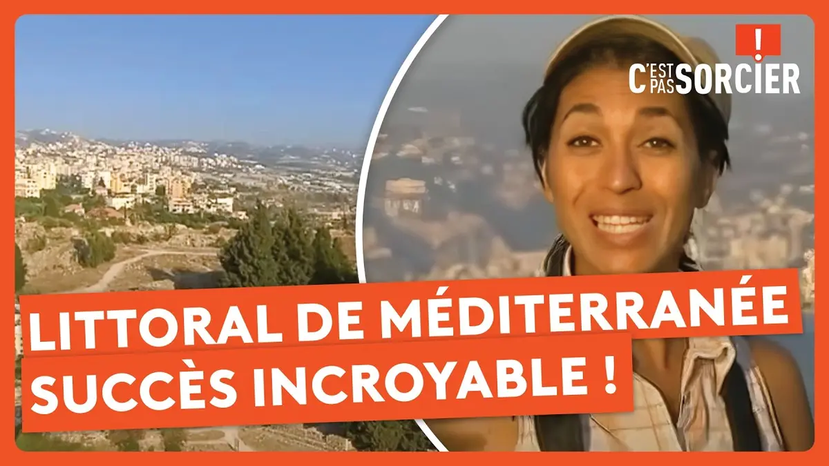 replay de Le littoral de Méditerranée et son succès incroyable ! - C'est pas sorcier