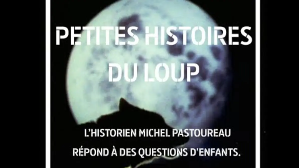 replay de Le loup avec Michel Pastoureau - 28 minutes - ARTE