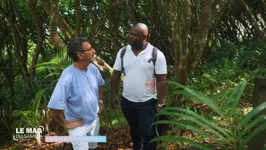 Le mag du samedi : Voyage à... l'île Rodrigues