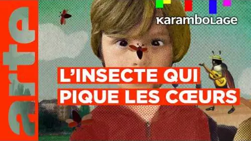 replay de Le « Maikäfer » - Karambolage - ARTE