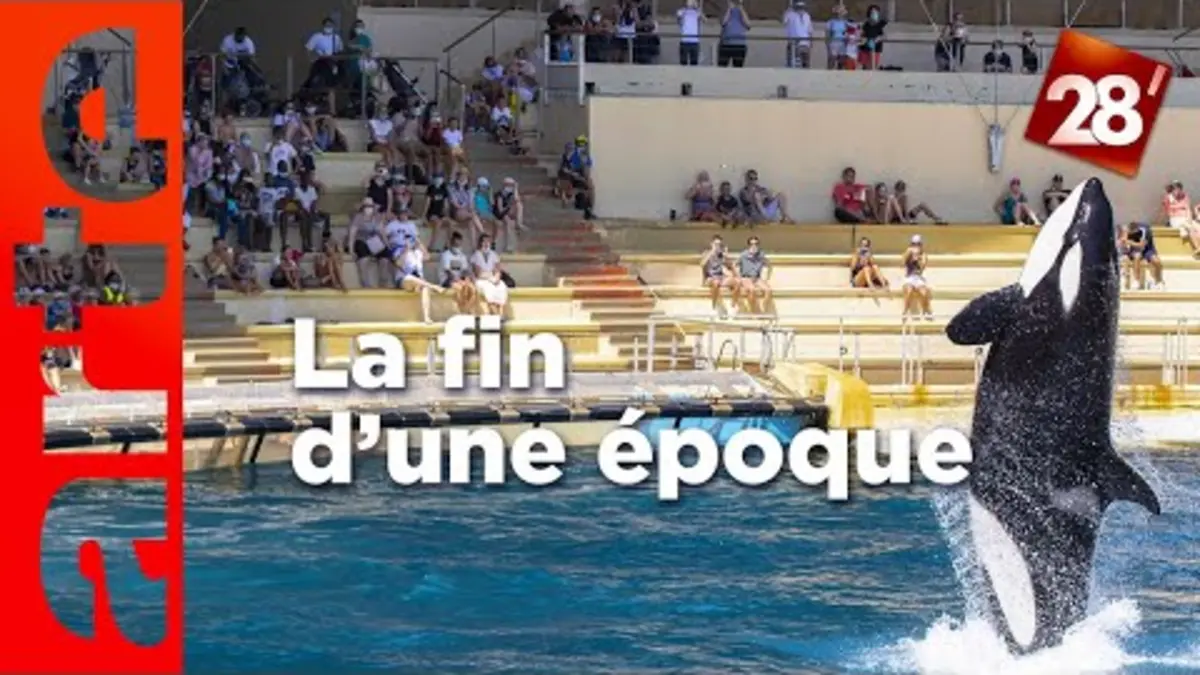 replay de Le Marineland vide les bassins : la fin d’une époque | 28 minutes | ARTE