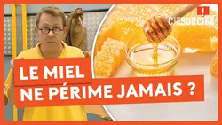 Le miel ne périme jamais ? - C'est pas sorcier