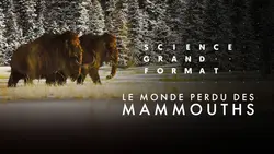 Le monde perdu des mammouths