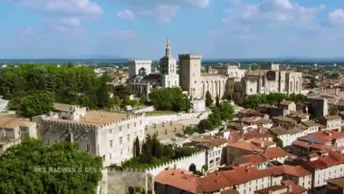 Le Palais des papes d'Avignon