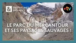 Le parc du Mercantour et ses paysages sauvages ! - Des Racines et des Ailes