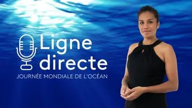 Le parc naturel de la mer de corail