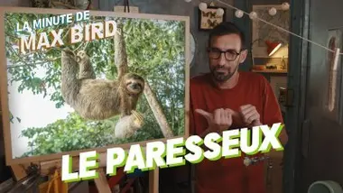 Le Paresseux
