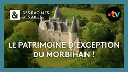 Le patrimoine d’exception du Morbihan ! - Des racines et des ailes