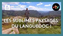 France 3 en direct