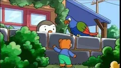 Le perroquet de Java