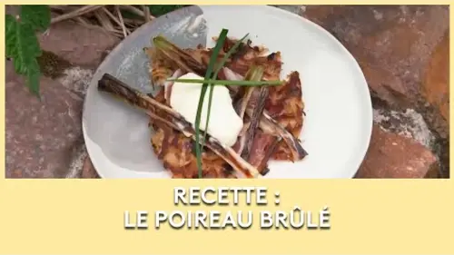 replay de Le Poireau brûlé - Les Potagers de Julie