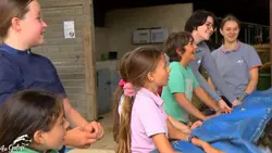 Le poney club à Firfol