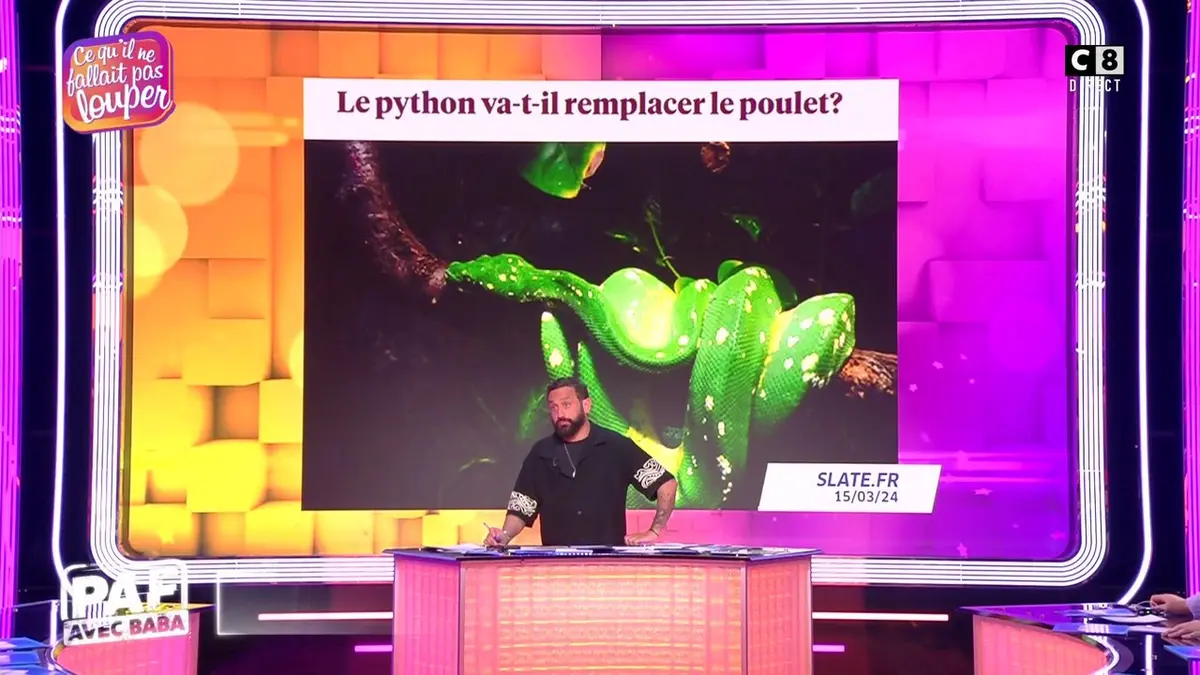 replay de Le poulet bientôt remplacé par le python ?