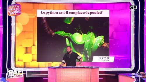 replay de Le poulet bientôt remplacé par le python ?