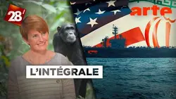 Le règne chimpanzé / Nucléaire : l’armada américaine prête à frapper l’Iran ? | 28 minutes | ARTE