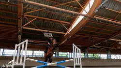 Le retour des Élites