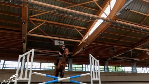 Au galop ! Le retour des Elites