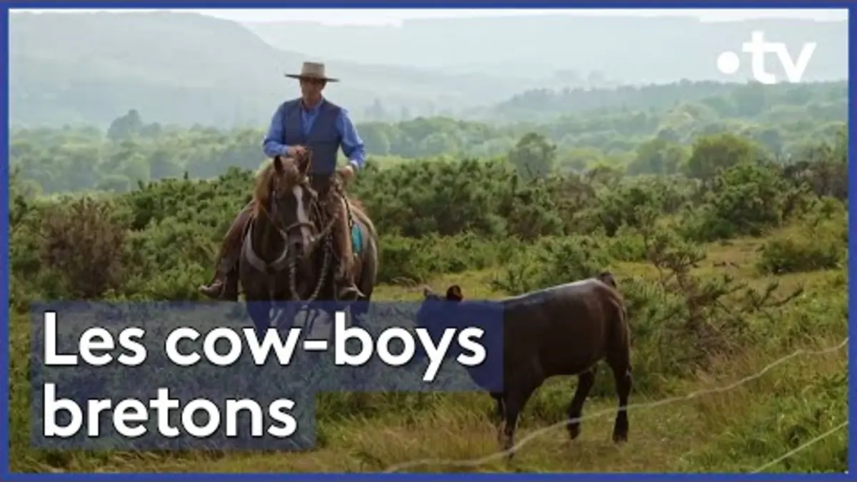 replay de Le rêve armoricain