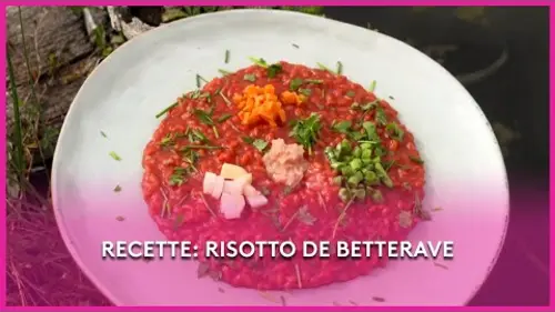 replay de Le risotto de betterave - Les Potagers de Julie