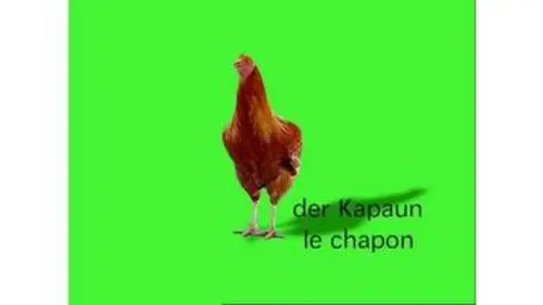 replay de le rite : le chapon - Karambolage - ARTE