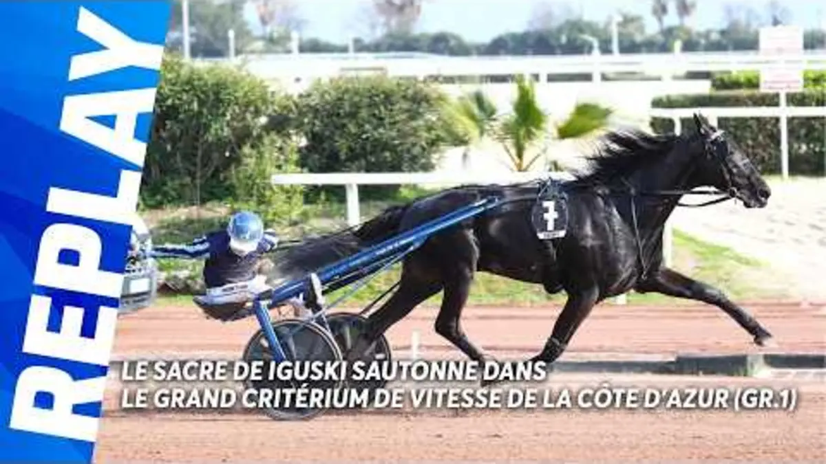 LE SACRE DE IGUSKI SAUTONNE DANS LE GRAND…