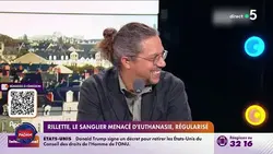 Le sanglier rillette est sauvé ! - C à Vous - 05/02/2025