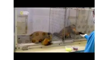 Le sentiment d'injustice