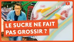 France 3 en direct