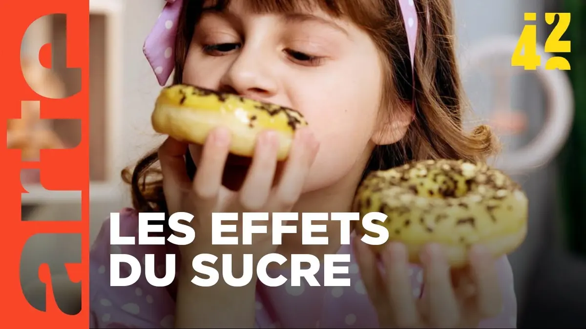 replay de Le sucre nous rend-il bêtes ? | 42 - La réponse à presque tout | ARTE