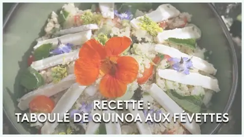 replay de Le taboulé de quinoa aux févettes - Les potagers de Julie