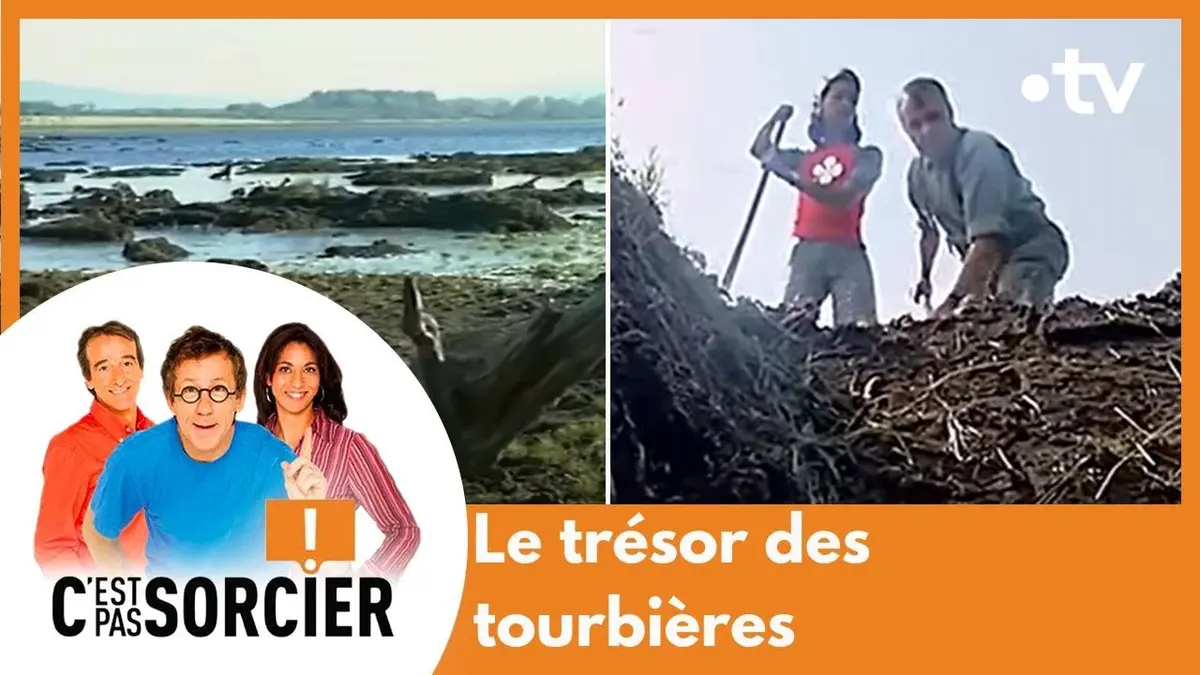 replay de Le trésor des tourbières - C'est pas sorcier [Intégrale]