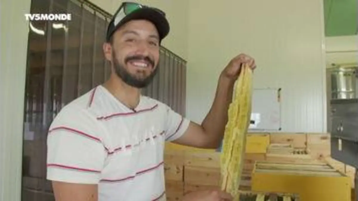 replay de Le Ventoux Sud - Intégrale Epicerie fine