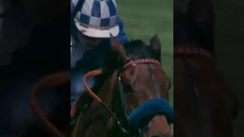 replay de LEGENDE DU GRAND STEEPLE-CHASE DE PARIS : MID DANCER